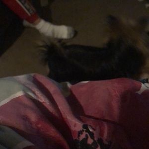 Meet your Posher, Monique